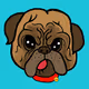 .jpugs