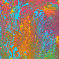 Liquid Paintings