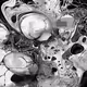 Prompt: Gestural Interruption by Alejandro Scasso
