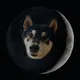 Moonge