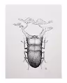 creature surreal NFT - old