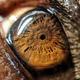 HUMAN EYE V2