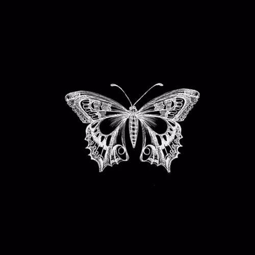 vanitas contemporary V3