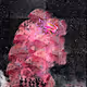 Exquisite Art Collection