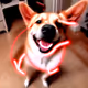 NeonCorgi -l (ETH)