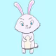 crypto bunnie - old