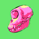 PK. Skull