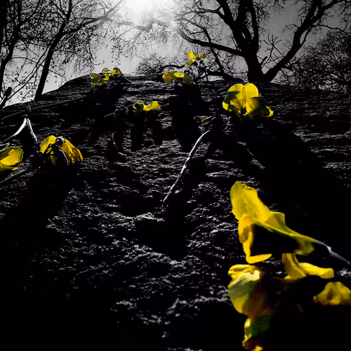 Trigger (Nuclear Cowboy)