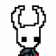 HollowKnight