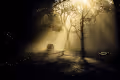 Rise of Hope