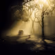 Rise of Hope