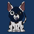 Crypto Animal Squad