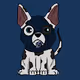 Crypto Animal Squad
