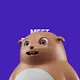 MeetBOB