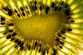 Abstract Kiwi Collection