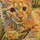 Crash the Cat