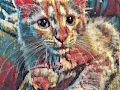 Crash the Cat