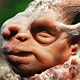 Ugliest Baby in the Universe