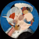 Bitcoin abstractions of public domain artworks
