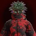 THEPUNKYSSH