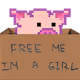 FreeLittlePigs