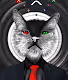 CRYPTO CAT XRP