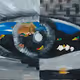 what you see guy