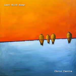 Last Bird Home