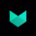 Mintify Branding