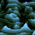 Generative Valleys