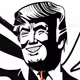 Just Trump but better