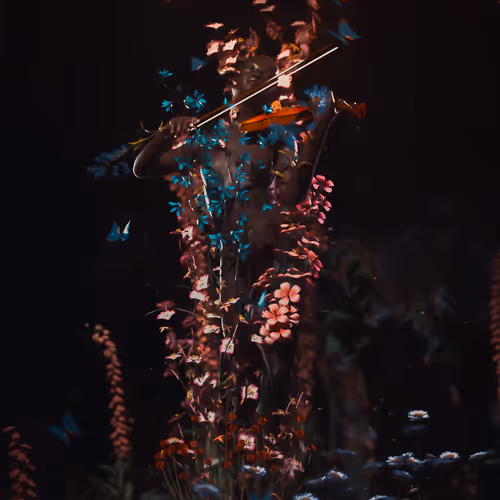 A Song Called Lonely