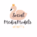 Social Media Models of NFT"S