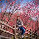 YIWU-TAIWAN-SAKURA-100