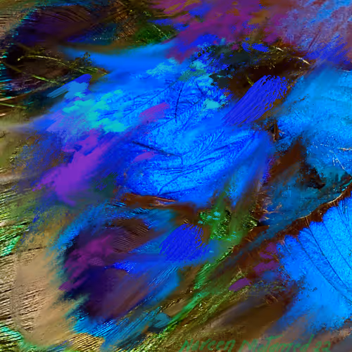 canvas and digital paintings