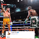 Floyd Mayweather vs Logan Paul : Meme Collection