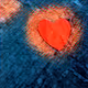 The hearts of life