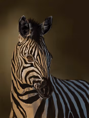 Anna Venovet Universe