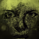 The Complex Mind