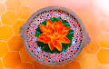 YAS_art77 Collection
