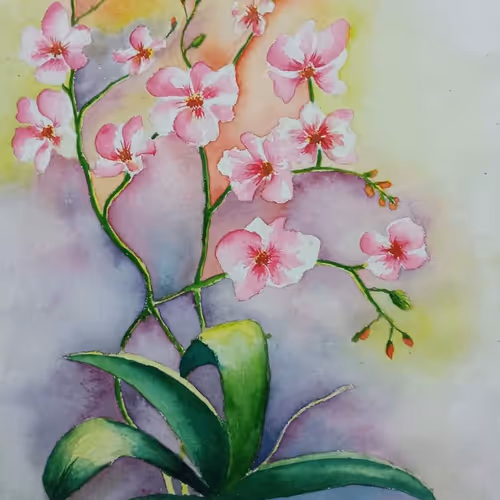 Kamrul_Hossain Flower Collection