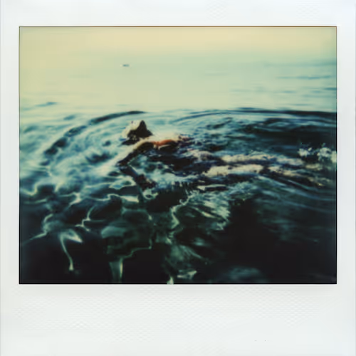 Map to the Star by Mirko Viglino