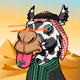 Dubai Camels Official