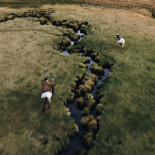 Nomadland Cabi Open Edition