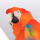 Vector Birds