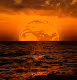 From My Space