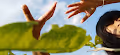 Let's the hands dance - old - old
