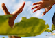 Let's the hands dance - old - old