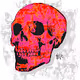 Skullcolors