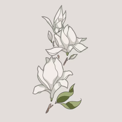 SFlowerS